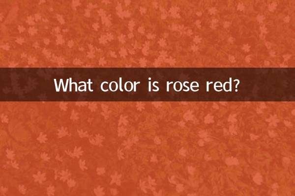 로즈 레드는 어떤 색인가요?