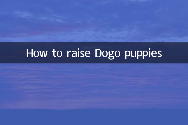 도고 강아지를 키우는 방법