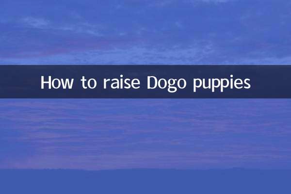 杜高幼犬怎麼養