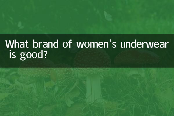Quale marca di biancheria intima da donna è buona?