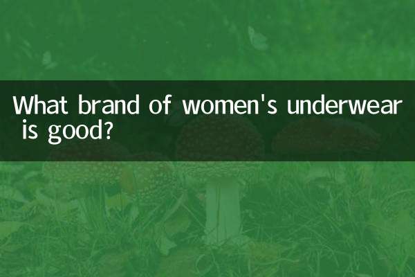 Welche Marke für Damenunterwäsche ist gut?