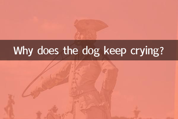 ¿Por qué el perro sigue llorando?