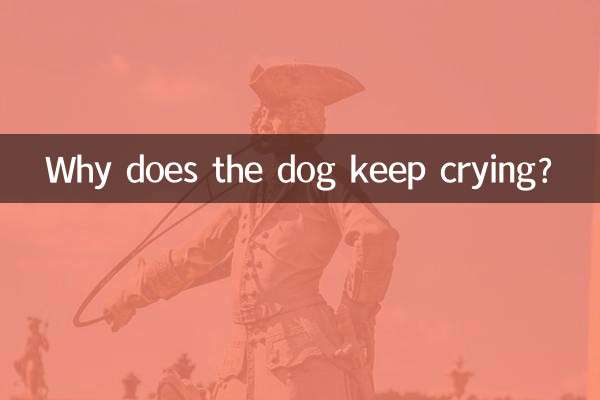 چرا سگ مدام گریه می کند؟