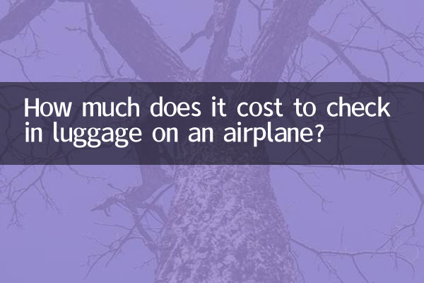 Quanto costa imbarcare i bagagli su un aereo?