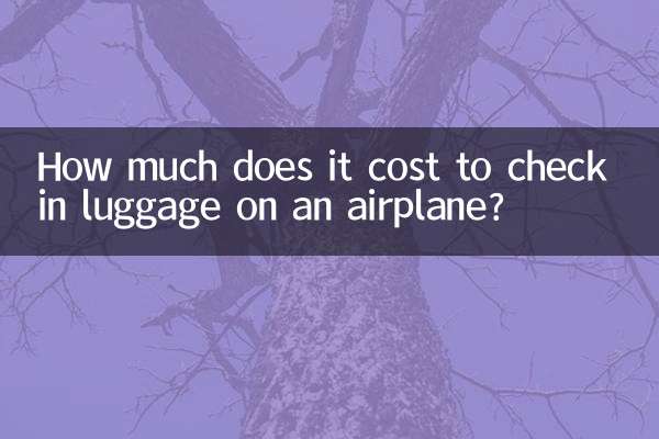 Quanto costa imbarcare i bagagli su un aereo?