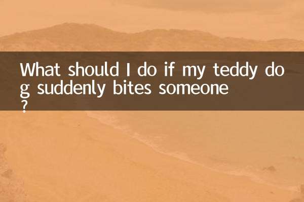 What should I do if my teddy dog suddenly bites someone?