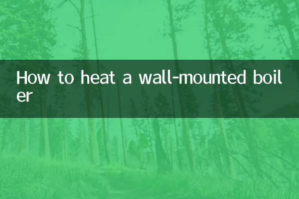 दीवार पर लगे बॉयलर को कैसे गर्म करें