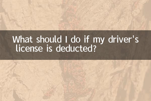 আমার ড্রাইভিং লাইসেন্স কেটে নেওয়া হলে আমার কী করা উচিত?