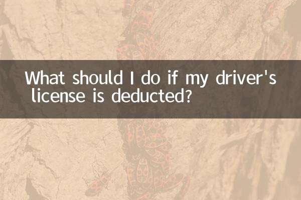 আমার ড্রাইভিং লাইসেন্স কেটে নেওয়া হলে আমার কী করা উচিত?
