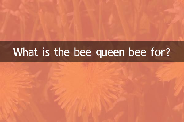 Para que serve a abelha rainha?