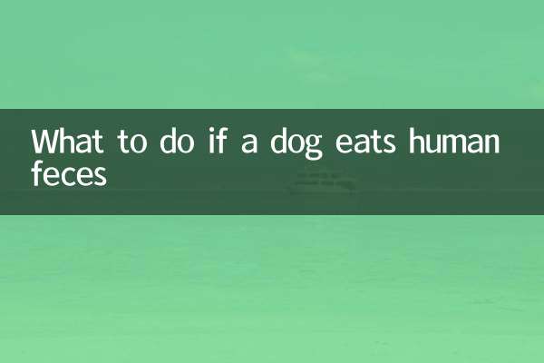 اگر سگ مدفوع انسان را بخورد چه باید کرد؟