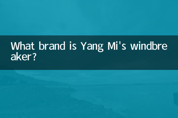 بادگیر یانگ می چه مارکی است؟