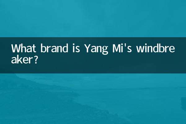 بادگیر یانگ می چه مارکی است؟