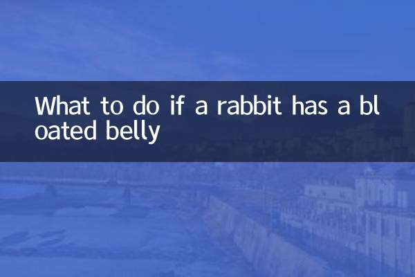 Was tun, wenn ein Kaninchen einen aufgeblähten Bauch hat?