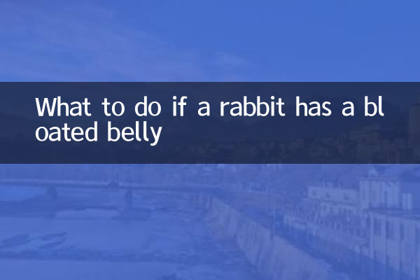 Que faire si un lapin a le ventre gonflé