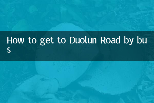 چگونه با اتوبوس به جاده دوولون برسیم