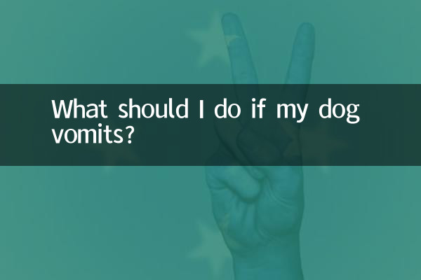 O que devo fazer se meu cachorro vomitar?