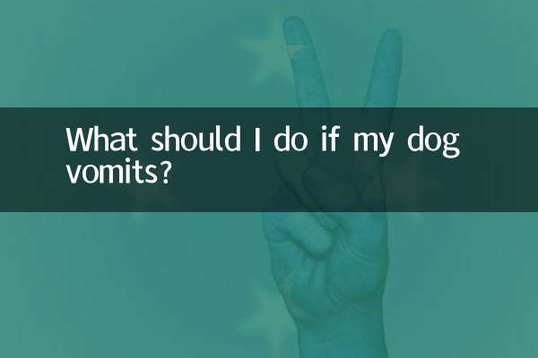 Was soll ich tun, wenn mein Hund erbricht?