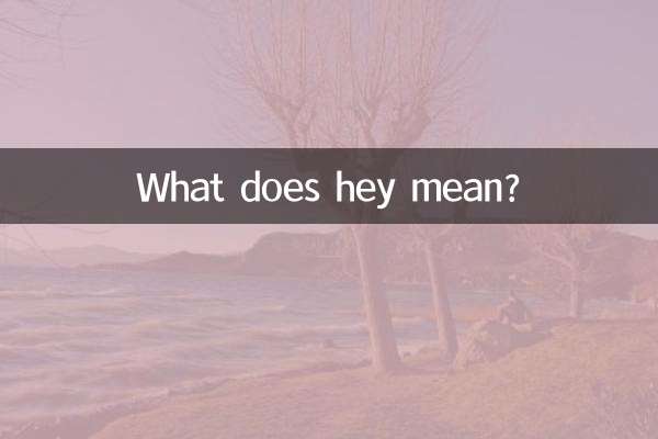 هی یعنی چی؟