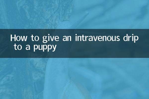 Comment administrer une perfusion intraveineuse à un chiot