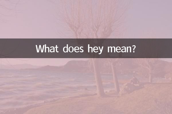 What does hey mean?