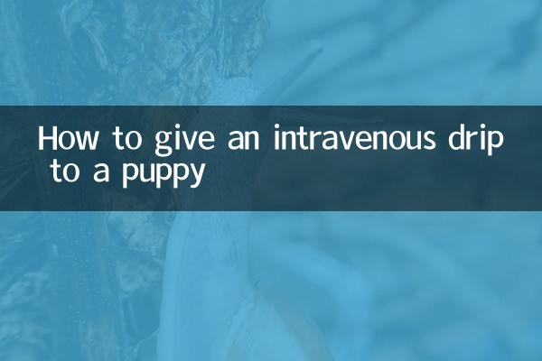 小狗怎么打点滴