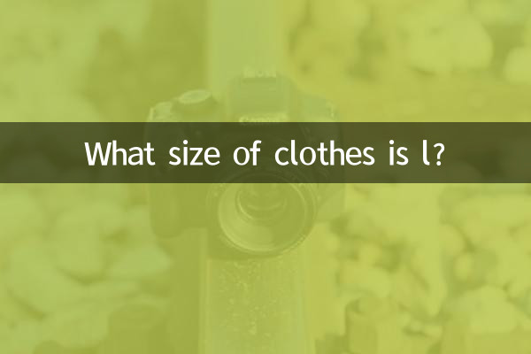 服のLサイズはどれくらいですか?