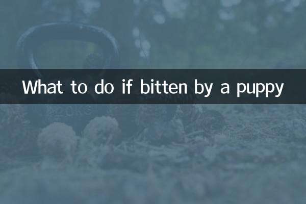 কুকুরছানা কামড়ালে কী করবেন