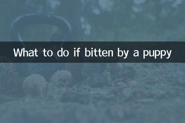 ماذا تفعل إذا عضك جرو