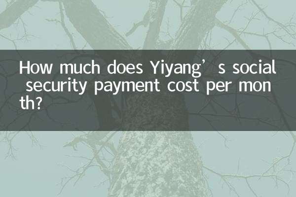 How much does Yiyang’s social security payment cost per month?