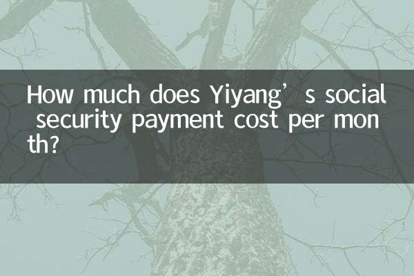 How much does Yiyang’s social security payment cost per month?