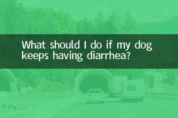 What should I do if my dog keeps having diarrhea?