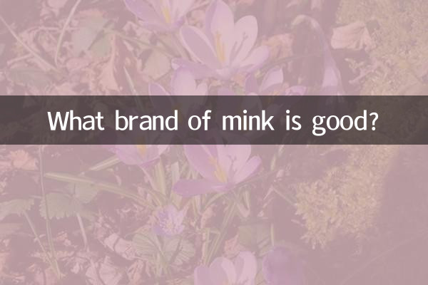 什么品牌貂皮好