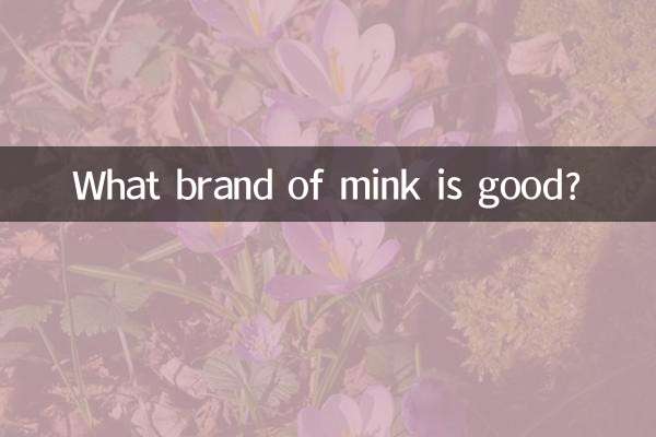 什么品牌貂皮好
