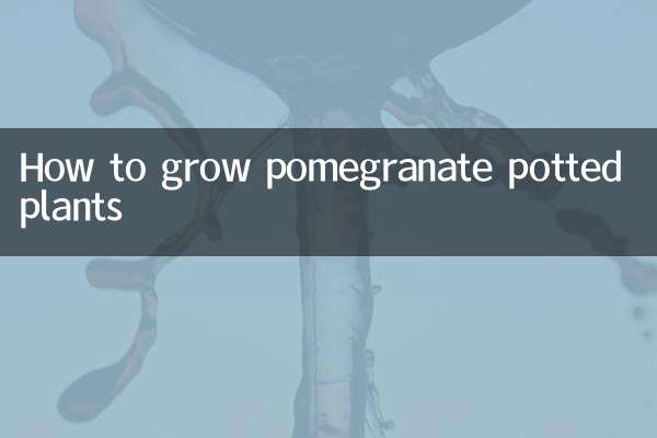 石榴盆栽怎么种