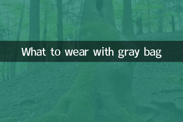 С чем носить серую сумку
