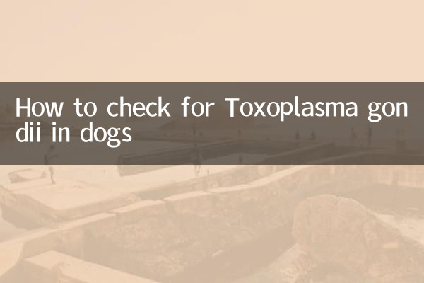 Cómo detectar Toxoplasma gondii en perros