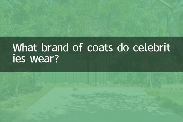 Che marca di cappotti indossano le celebrità?