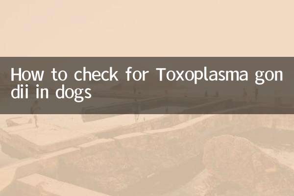 Cómo detectar Toxoplasma gondii en perros