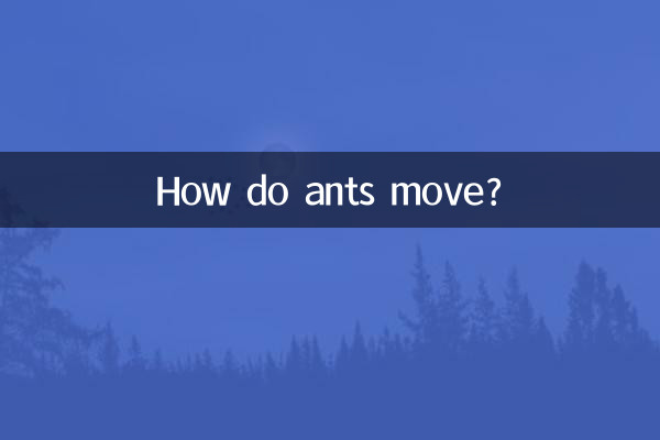 পিঁপড়া কিভাবে নড়াচড়া করে?