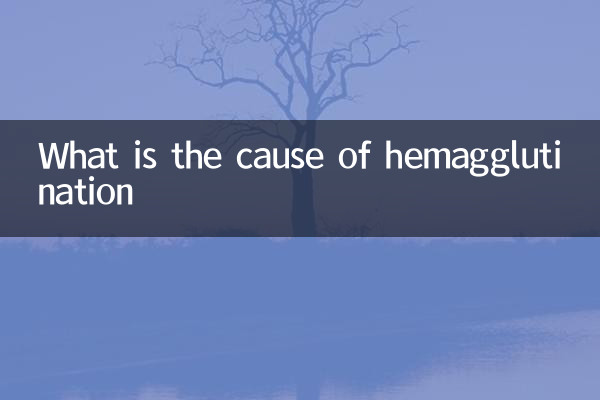 What is the cause of hemagglutination
