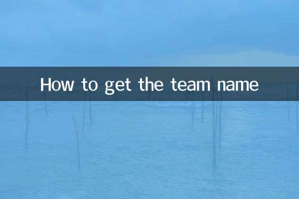 Wie man den Teamnamen bekommt
