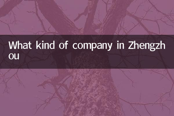 Zhengzhou में किस तरह की कंपनी
