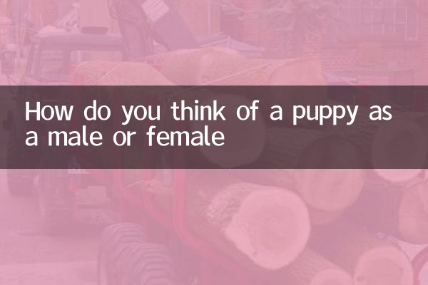 How do you think of a puppy as a male or female