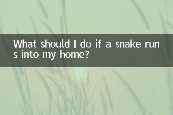 Que dois-je faire si un serpent entre dans ma maison ?