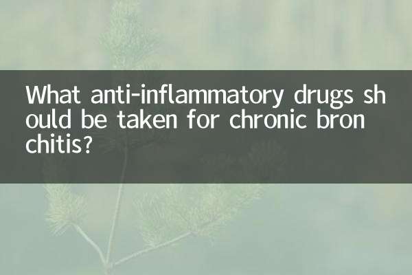 Welche entzündungshemmenden Medikamente sollten bei chronischer Bronchitis eingenommen werden?