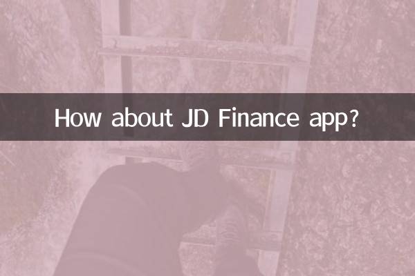 ماذا عن تطبيق JD Finance؟