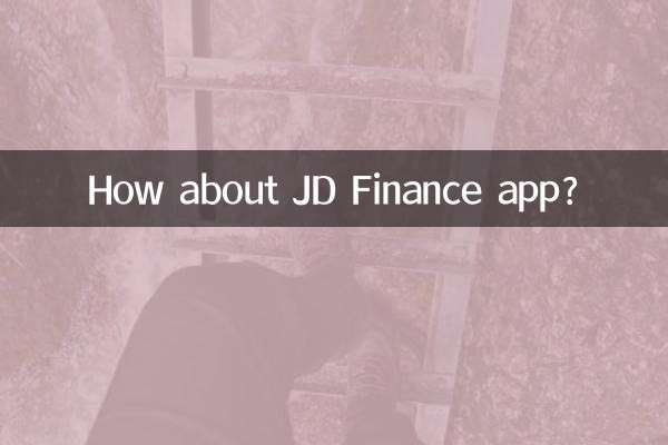 ماذا عن تطبيق JD Finance؟