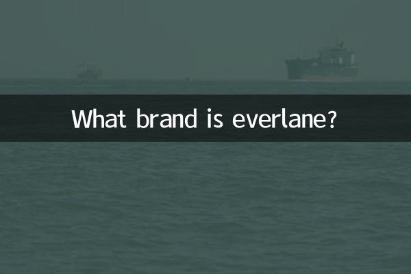 ما هي العلامة التجارية Everlane؟