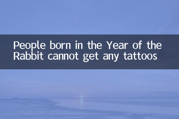 属兔的人不能纹什么